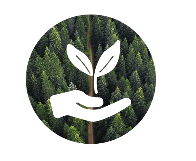 Responsabilidad social — Domberg Atelier